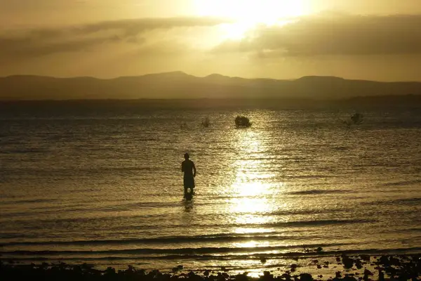 Photograph of Connor (Australia album)